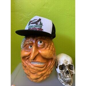 Vintage Black And White Grand Canyon Trucker Hat, Arizona, Bald Eagle snapback